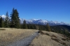 k800_100_4254.jpg