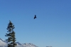 k800_100_4264.jpg