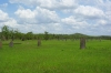 k640_sam_1810