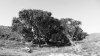 rottnest-island-k640-031